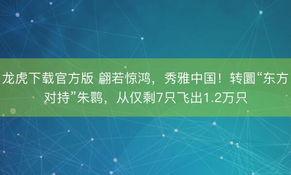 龙虎下载官方版 翩若惊鸿，秀雅中国！转圜“东方对持”朱鹮，从仅剩7只飞出1.2万只