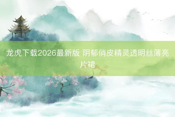 龙虎下载2026最新版 阴郁俏皮精灵透明丝薄亮片裙